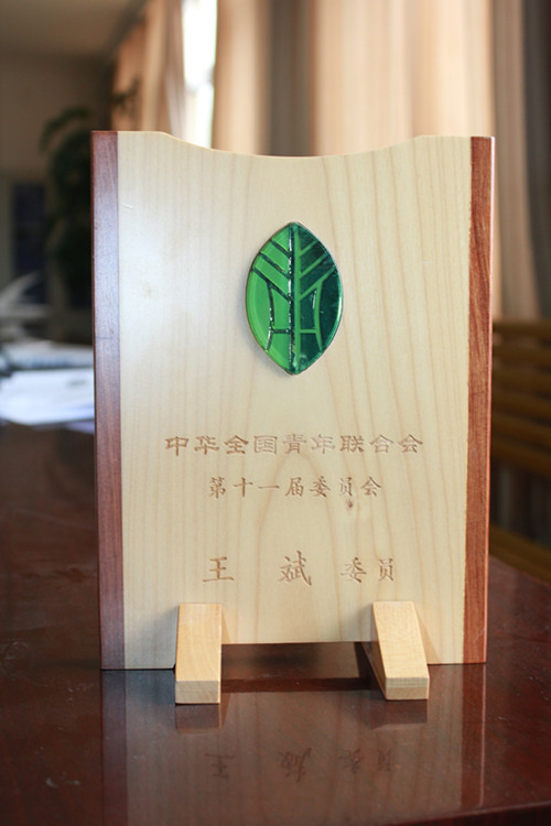 中華全國青年聯(lián)合會(huì)第十一屆委員會(huì)