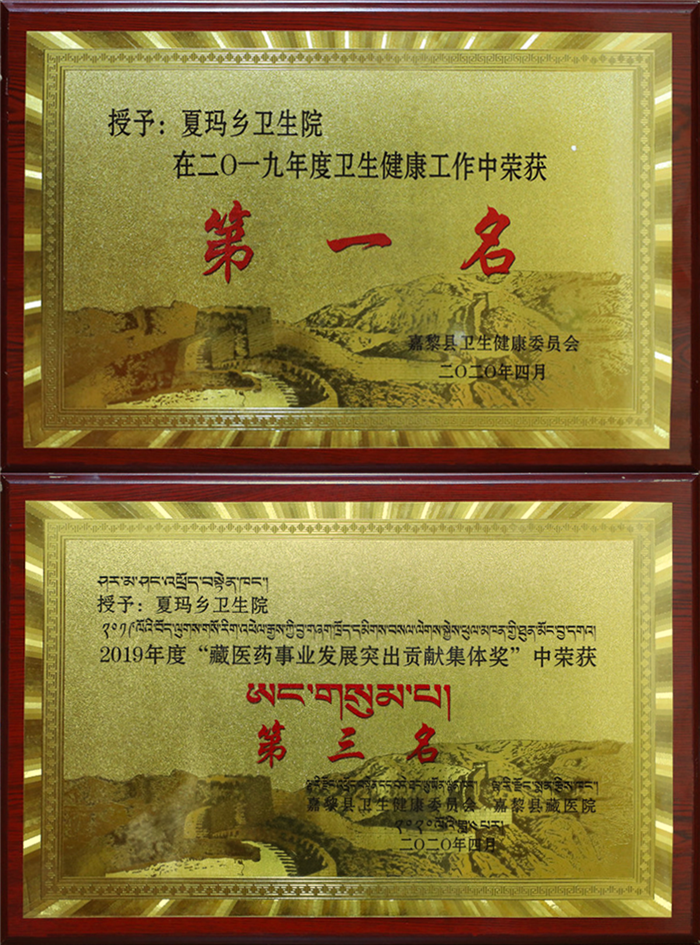 西藏阜康醫(yī)院