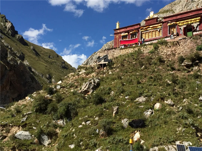 西藏阜康醫(yī)院