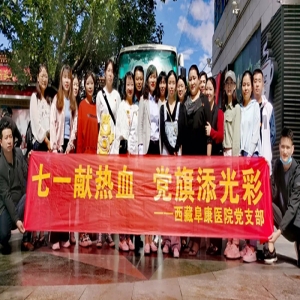 阜康醫(yī)院黨支部舉行“七一獻(xiàn)熱血 黨旗添光彩”主題活動(dòng)
