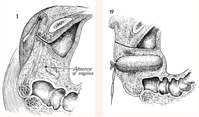 微信截圖_20241122094743