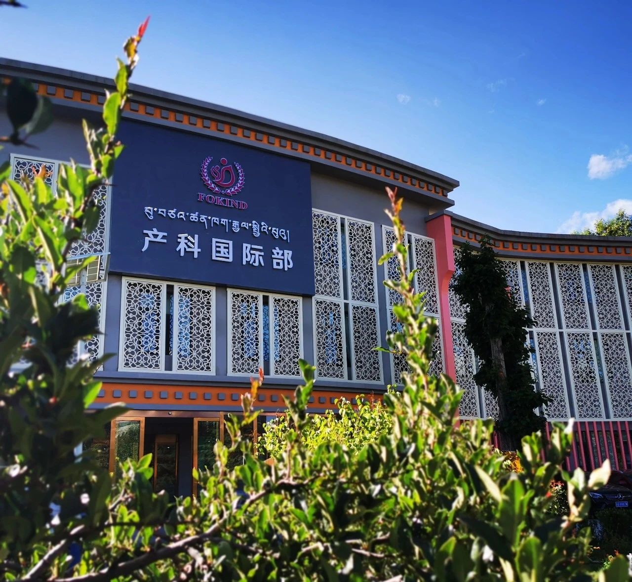 微信圖片_20241223102302 微信圖片_20241223102302