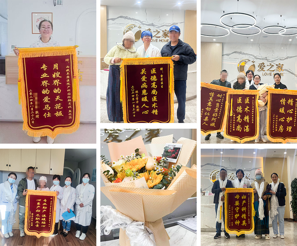 微信圖片_20241223102331 微信圖片_20241223102331