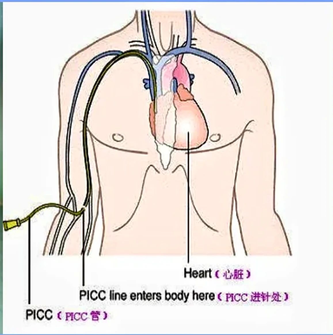 微信圖片_20250425145417