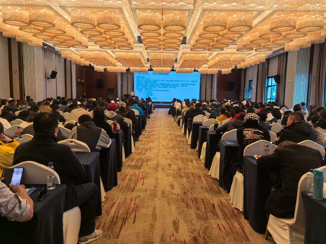 西藏阜康醫(yī)院助力：2025年春季自治區(qū)持證導(dǎo)游崗前培訓(xùn)圓滿(mǎn)收官