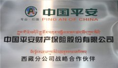 中國平安保險(xiǎn)西藏分公司向西藏救災(zāi)人員贈(zèng)送人身意外傷害