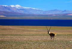 阜康送醫(yī)送藥在行動——走進(jìn)榮瑪鄉(xiāng)高海拔生態(tài)搬遷點(diǎn)