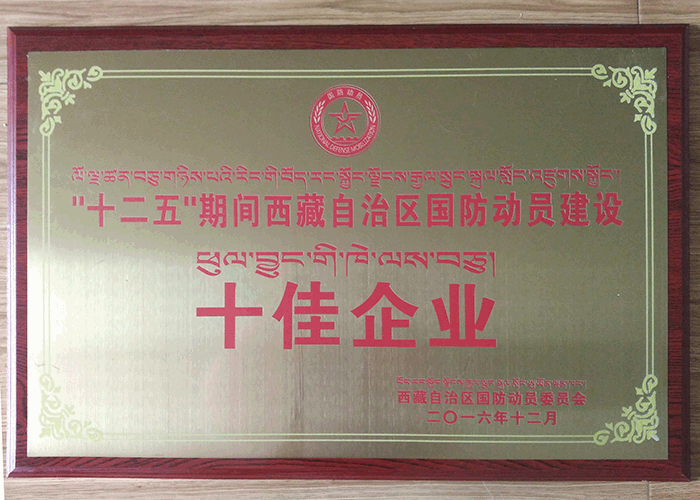 西藏阜康醫(yī)院榮獲 “十二五”期間十佳企業(yè)榮譽(yù)稱號