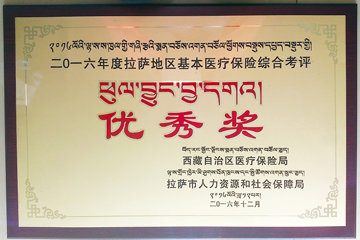 熱烈祝賀西藏阜康醫(yī)院榮獲地區(qū)基本醫(yī)療保險綜合考評“優(yōu)秀獎”
