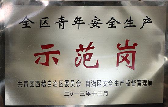 全區(qū)青年安全生產(chǎn)示范崗